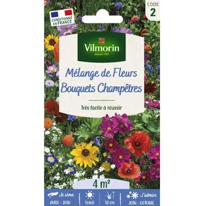 Graines de fleurs champêtres - VILMORIN - Mélange de couleurs - Fleurit longtemps