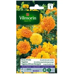 VILMORIN Rose d’Inde double grande variée pas cher