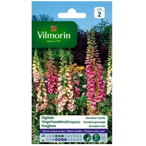 VILMORIN Digitale variée pas cher