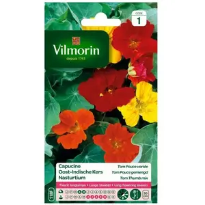 VILMORIN Capucine Tom Pouce variée naine pas cher