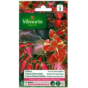 VILMORIN Coleus Arc en ciel amélioré pas cher
