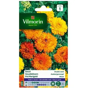 VILMORIN Souci double varie
