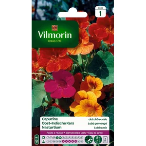 VILMORIN Capucine de lobb variée