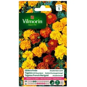Oeillet d'Inde double nain varié - VILMORIN - Graine - Soleil - Balcon et terrasse - Jaune