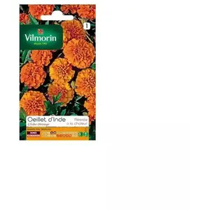 VILMORIN Oeillet d'Inde Globe orange pas cher