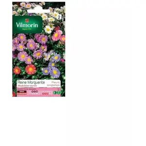 VILMORIN Reine marguerite Madeleine variée pas cher