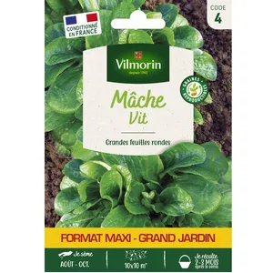 Graines - Vilmorin - Mâche Vit - Grand Modèle pas cher