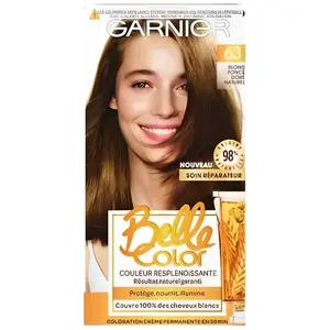 Comparateur de prix : Garnier Coloration 63 Blond Foncé Doré Naturel - Lot De 2