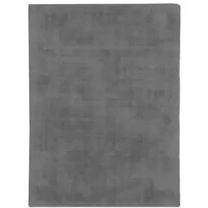 The Deco Factory Tapis Aspect Velours, 160cm x 230cm, Gris