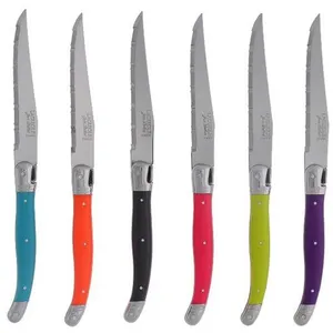 Coffret de 6 couteaux à steak Jean Dubost loo60011ton