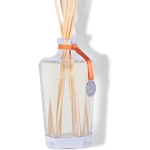 Durance - Groot formaat geur verspreider - Amber - Grand Diffuseur De Parfum Ambre Précieux - Stokjes - 6 maanden