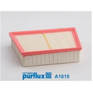 Purflux Filtre à air moteur A1810 pas cher