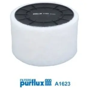 Luchtfilter A1623 Purflux
