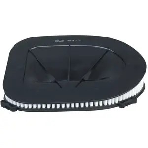 PURFLUX Filtre à air pour BMW: X5, X6, X3 (Ref: A1618) pas cher