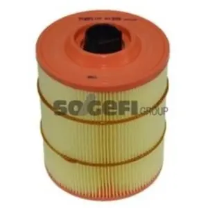 Purflux Luchtfilter pas cher