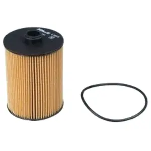 purflux L1071 Filtre à huile pas cher