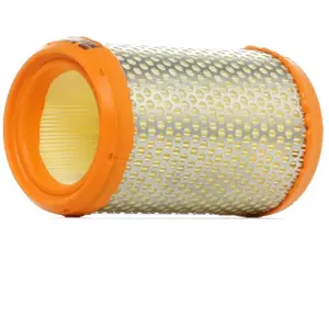 Purflux A369 filtre à air moteur pas cher