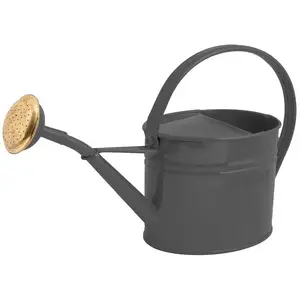 Guillouard Arrosoir en acier galvanisé avec pomme 1.75 litresVendu parcdiscount