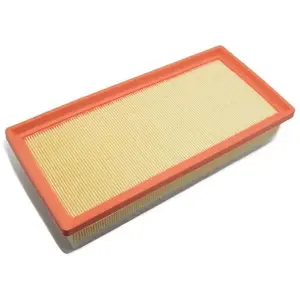 Filtre à air - VALEO - 585072 - FLT AIR PEUG 407 + COUP2 2.0 135 FAP pas cher