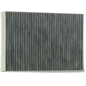 Valeo 698875 Cabin Air Filter COMBINED with Active Carbon pas cher