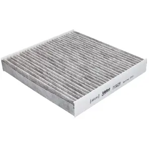Valeo 715629 Cabin Air Filter COMBINED with Active Carbon pas cher