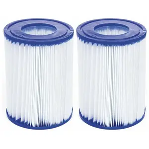 trigano Cartouche type II pour filtration de piscine - Lot de 2 pas cher