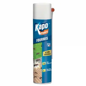 KAPO Anti-fourmis aérosol expert - 400 mLVendu parcdiscount