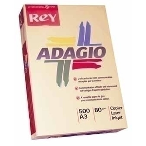 Rey Papier Adagio couleur pas cher