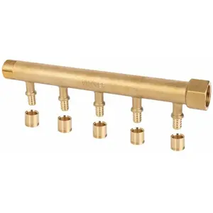 Collecteur Riquier - 5 sorties - MF 3-4' - Pour tube PER - Pression maximale 10 bar pas cher