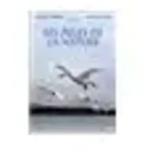 Editions Montparnasse Les Ailes de la Nature pas cher