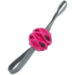 Zolux TPR Ball Outdoor Terra Chien pas cher