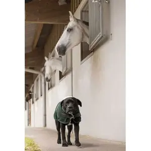 Diego & Louna Manteau Pour Chien Nylon Teddy pas cher