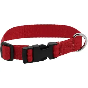 Collier Pour Chien Riding World Pat 30 Cm Mixte Rouge pas cher