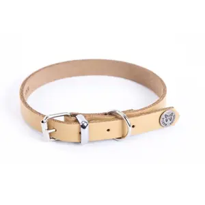 Martin Sellier Collier Pour Chien En Cuir Martin Sellier 22/47 Cm Mixte Beige