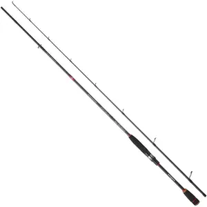 Sakura Canne Spinning Ryokan Fw