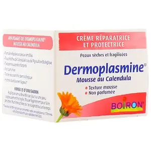 Dermoplasmine-Boiron Dermoplasmine Mousse au Calendula 20 g pas cher