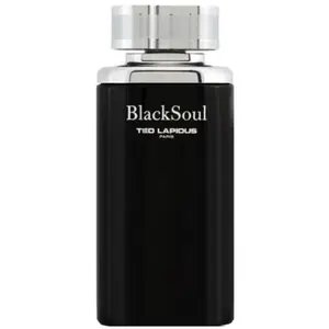 Black Soul de Ted Lapidus EDT Spray 100ml pas cher
