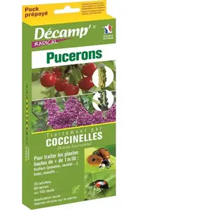 DECAMP' Traitement par Chrysopes - DECAMP - Pucerons - 250 larves ou 500 oeufs