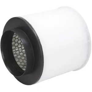 Luchtfilter 80005027 Corteco pas cher