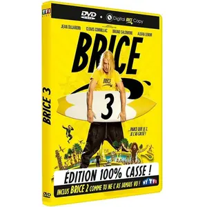 UPV brice de nice 3 dvd 2017 pas cher