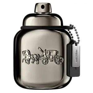 Coach Pure Platinum Parfum 40 ml pas cher
