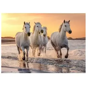 SentoSphere Calypto Chevaux 500 pièces XL Puzzle (500 pièces) pas cher