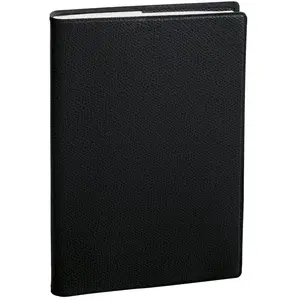 Agenda QuoVadis 18x24 (Planing SD), matière Impala Assortis 2010-2011 pas cher