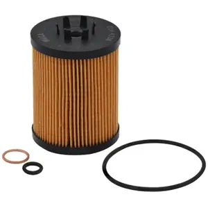 MECAFILTER Filtre à huile pour BMW: Série 7, Série 6, X5, Série 5 & ALPINA: B7, B5, B6 (Ref: ELH4338) pas cher