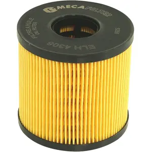 MECAFILTER Filtre à huile pour NISSAN: Interstar, Primastar & RENAULT: Master, Espace, Laguna, Trafic, Vel Satis, Avantime (Ref: ELH4306) pas cher