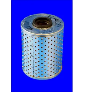 MECAFILTER Filtre à huile pour BMW: M3, Z4, Z3 (Ref: ELH4361) pas cher