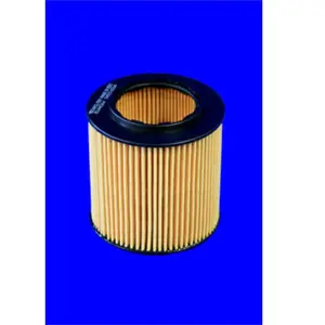 MECAFILTER Filtre à huile pour BMW: Série 7, Série 3, X6, Série 6, Série 1, Série 5, M3, Série 2, X5, Z4, X1, X3, Série 4, X4 (Ref: ELH4364) pas cher