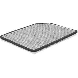 MECAFILTER Filtre d'habitacle pour RENAULT: Laguna (Ref: EKR7029) pas cher