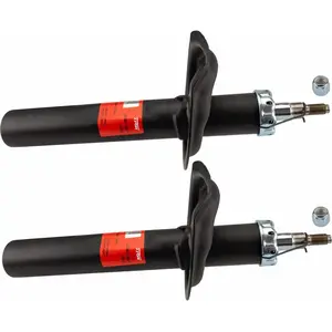 Comparateur de prix : Trw Trw Lot De 2 Amortisseurs Jgm3189t