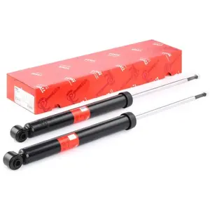 Schokdempers Achter JGT231T TRW pas cher